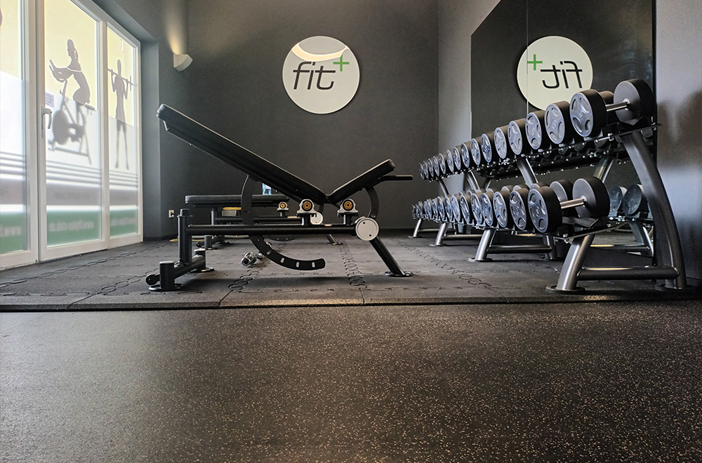 fitplus_Schoeppenstedt_Freihanteltraining